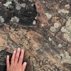 День 1. Чуйский тракт — дорога в сердце Алтая