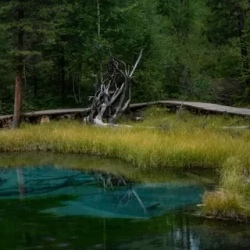 День 4. Заснеженные вершины и Алтайский марс