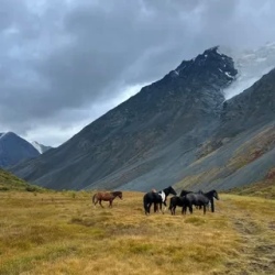 День 5. Главные ледники южного Алтая