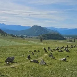 День 4. 4 день