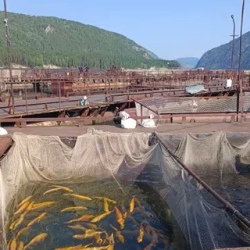 День 1. Самая большая Гэс России и Саянское море
