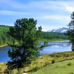 День 8. Каменные грибы, мыс Кырсай, Телецкое озеро
