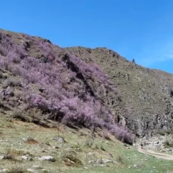 День 1. Дорога Барнаул-с. Курай
