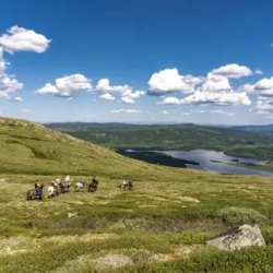 День 5. начало конной части