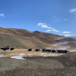 День 8. Возвращение в Кош-Агач.