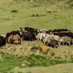 День 4. Путь в село Беляши (Джазатор)