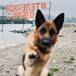 День 5. Телецкое озеро