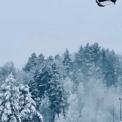 День 2. Курорт Манжерок