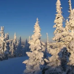 День 6. Катание в Шерегеше