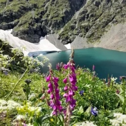 День 3. Тишина и нетронутая природа на высоте 2 471