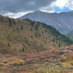 День 10. Трансфер с.Чибит — Горно-Алтайск