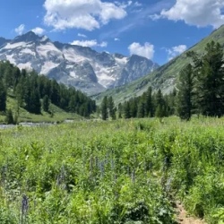 День 7. Возвращение в село Мульта