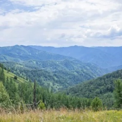 День 2. Урочище Четкыр — река Имурта — Кедровая поляна.