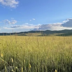 День 3. Путешествие на Ольхон до мыса Хобой на целый день