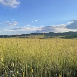 День 5. Долина каменных духов и Тажеранская степь .