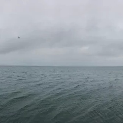 День 1. Листвянка