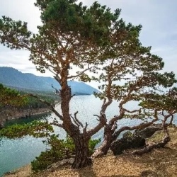 День 2. Экскурсия в бухту Песчаную (на катерах)