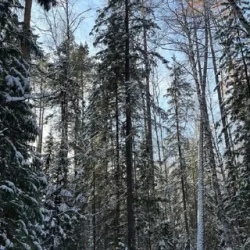 День 2. Фотоохота И Рыбалка