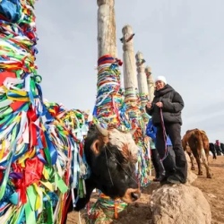 День 6. Прощание С Байкалом И Возвращение В Иркутск