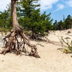 День 2. Свободный День