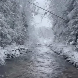 День 2. Фотоохота И Рыбалка
