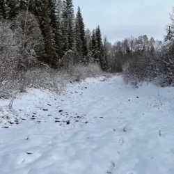 День 3. Возвращение В Иркутск