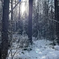 День 3. Возвращение В Иркутск
