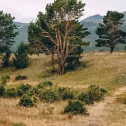 День 3. Остров Огой И Малое Море