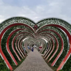День 3. Грозный