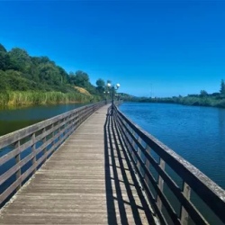 День 2. Янтарный, трансфер в Калининград