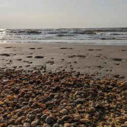 День 5. Свободные дни на побережье Каспийского моря