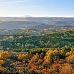 День 1. Очаровательный город-курорт Кисловодск