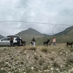 День 1. Знакомство и переезд в Домбай!