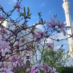 День 3. Три ущелья: Куртатинское Кармадонское - Даргавс