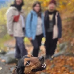 День 1. Едем в Архыз