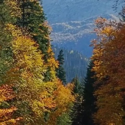 День 3. Домбай