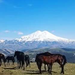 День 2. Водопады в урочище Джилы-су