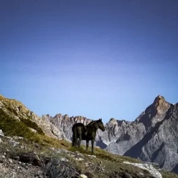 День 4. Верхняя Балкария, Язык Тролля и термы