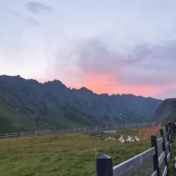 День 7. Заключительный день