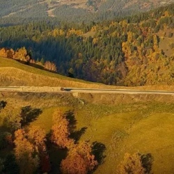 День 2. Конная прогулка по лесу Заповедника