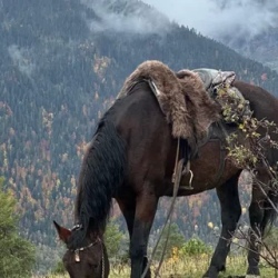 День 5. Конный маршрут на Гору Смирнова