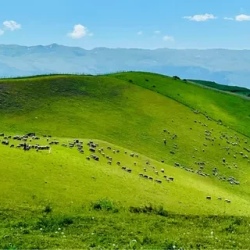 День 1. Прилет и дорога к Эльбрусу