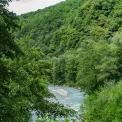 День 6. Урочище Бзогу