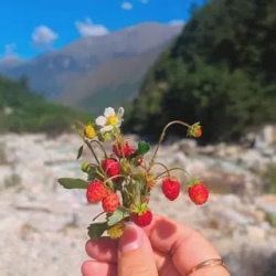 День 2. Гора Кубус. Водопады Таймази