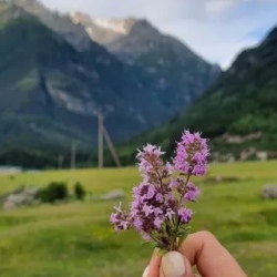 День 1. Встреча, знакомство и переезд в живописный Архыз!