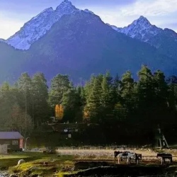 День 2. Архыз