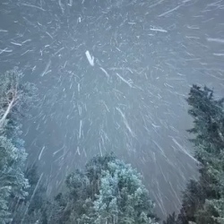 День 1. Движемся в Домбай!
