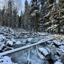 День 2. Сказочный Домбай