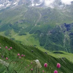 День 4. Переезд в село Дзинага - ледник Караугом