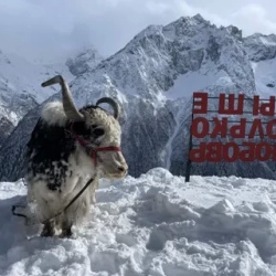 День 4. Едем в Домбай